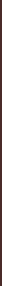 Brown vertical line