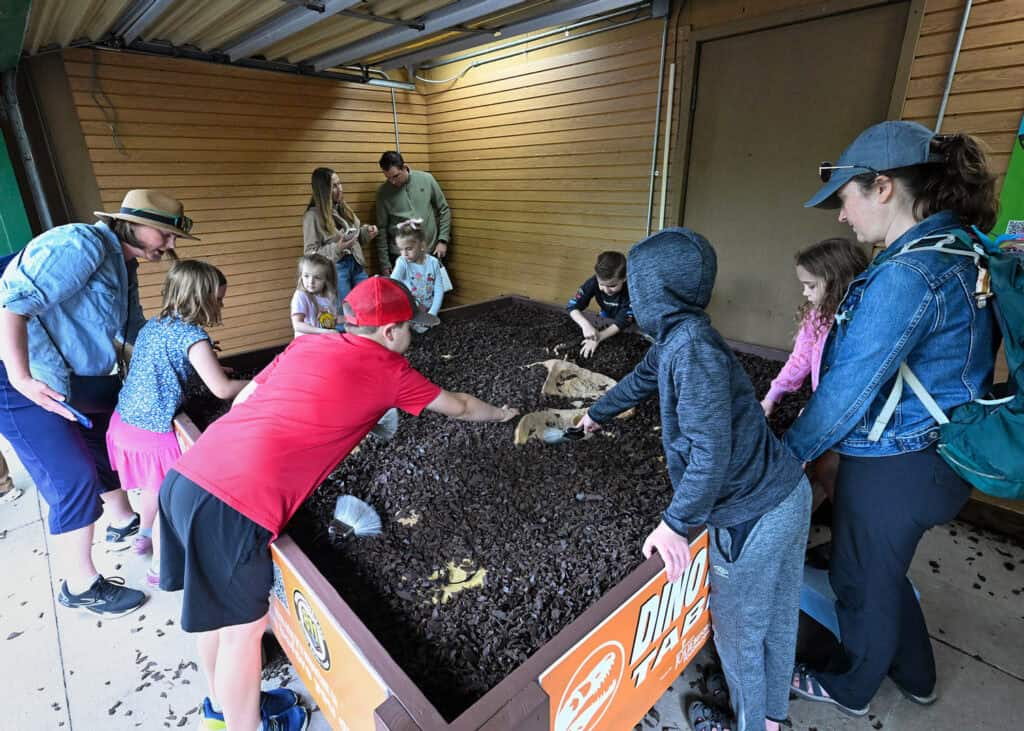 Kids digging for fossils